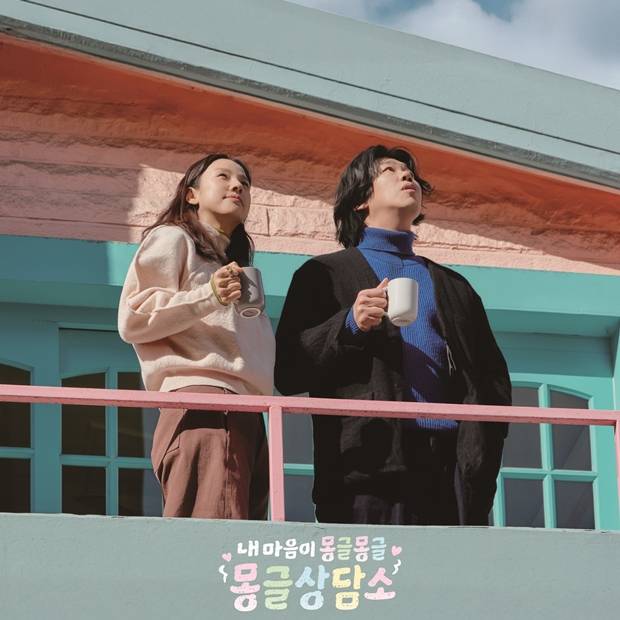 티브이데일리 포토