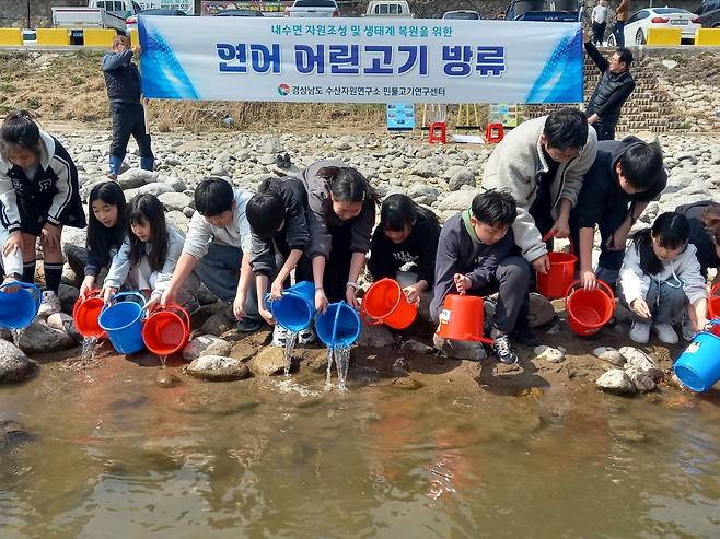 하동군 섬진강에 어린 연어 방류 [경남도 제공. 재판매 및 DB 금지]