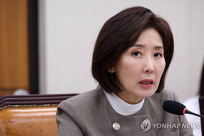 의사진행 발언하는 나경원 의원 (서울=연합뉴스) 이동해 기자 = 국민의힘 나경원 의원이 17일 국회에서 열린 법제사법위원회 법안심사1소위원회에서 의사진행 발언을 하고 있다. 2026.3.17 eastsea@yna.co.kr