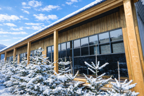 카페 ‘트리 헌드레드’와 구상나무들.