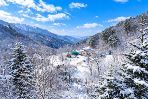 카페 ‘트리 헌드레드’ 주변 전경.