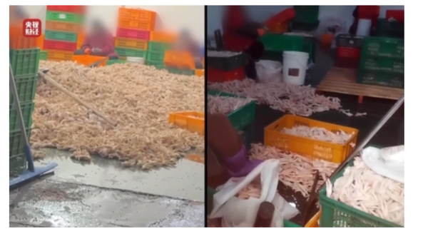 중국 CCTV 고발 식품가공공장 캡쳐 (사진=연합뉴스)