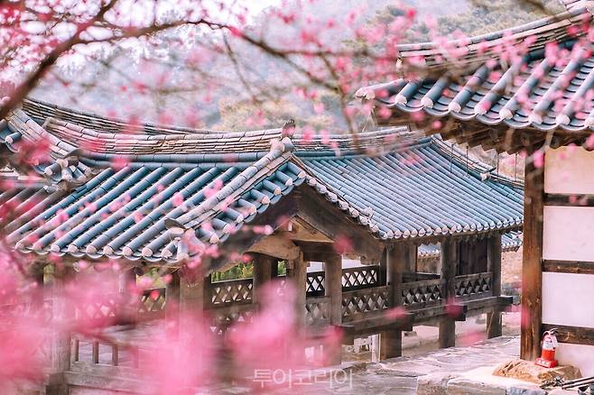 논산 종학당 / 사진-충남도