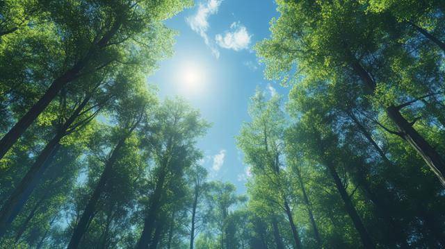 게티이미지뱅크