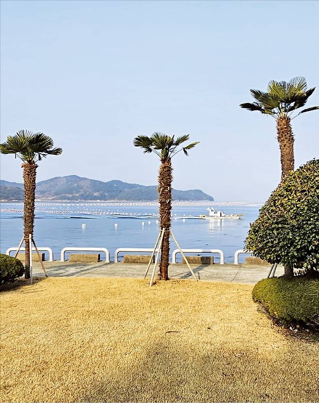 수국작가촌에서 바라본 통영 앞바다. 도다리잡이 배 한 척이 굴 양식장 곁을 지나 항구로 돌아가고 있다.