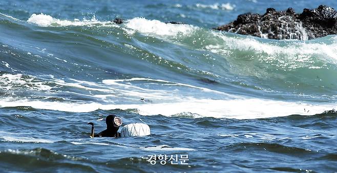 제주 해녀들이 물질을 하고 있다. 정지윤 선임기자