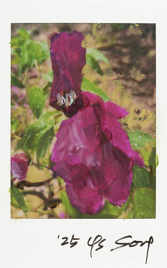 <Meditation on the Road 길 위에서>, 2025, Oil painting on polaroid, ⓒ송영숙