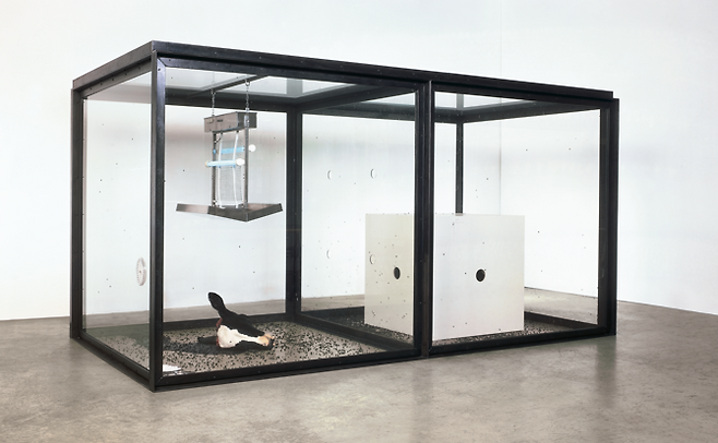데이미언 허스트 ‘천 년’. [개인 소장. © Damien Hirst and Science Ltd. All rights reserved, DACS/Artimage 2026. Photographed by Roger Wooldridge]