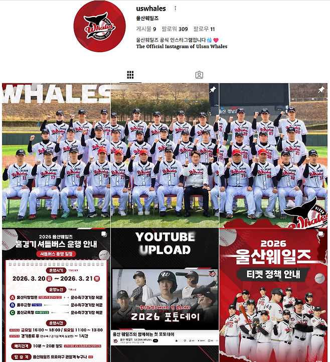 ▲ ⓒ울산 웨일즈