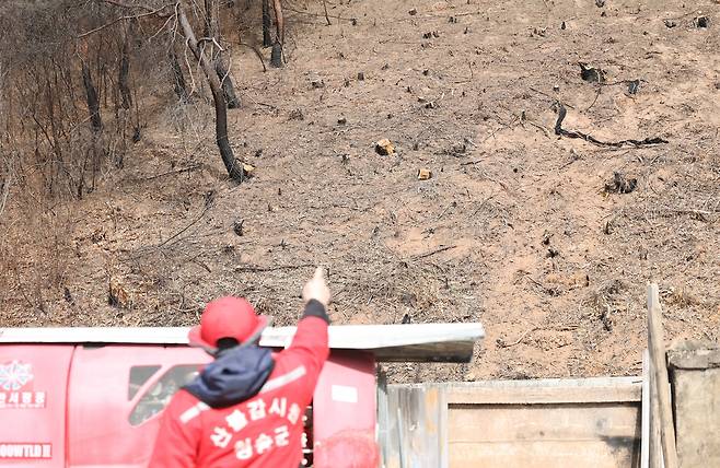 산사태 방지, 벌채한 흔적 (대구=연합뉴스) 박세진 기자 = 지난 13일 경북 청송군 진보면에서 마을 주민이자 산불감시원인 서성관 씨가 벌목한 산림을 가리키고 있다. 2026.3.18 psjpsj@yna.co.kr