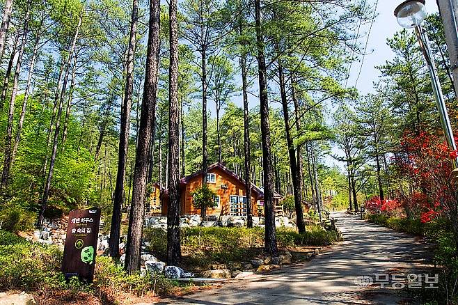 백운산 자연휴양림