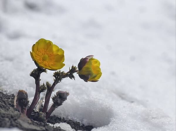 소현숙 약사 제공.