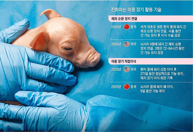/이제네시스, 그래픽=이진영