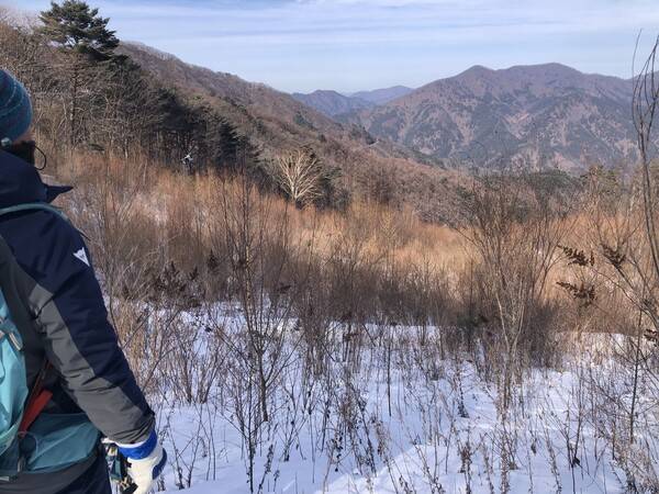 지난 1월 정선 알파인센터 중턱에서 바라본 스키장 슬로프. 김창금 기자