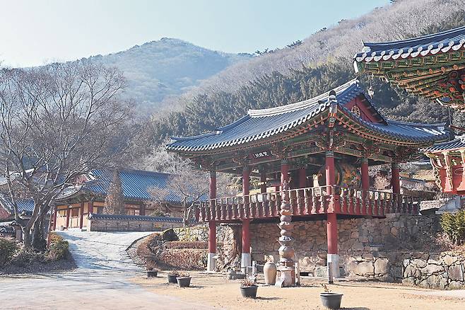 봄의 정취가 빼어나기로 이름난 나주 덕룡산 아래 절집 불회사.