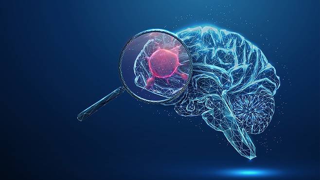 뇌 활동으로 발생한 각종 노폐물은 자유롭게 이동하는 뇌척수액에 녹아든다｜출처: 게티이미지뱅크