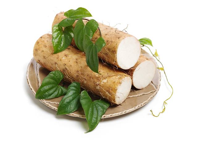 마에 풍부한 뮤신은 위장 점막을 보호하고 소화 기능을 도와 영양 흡수를 촉진한다. 사진=게티이미지뱅크