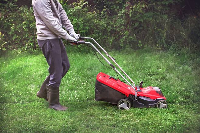 말레이시아 50대 남성이 잔디 깎다 눈에 튄 이물질에 때문에 미생물에 감염돼 시력을 거의 상실하는 사고를 당했다. (사진은 기사와 직접적 관련 없음) 사진=게티이미지뱅크