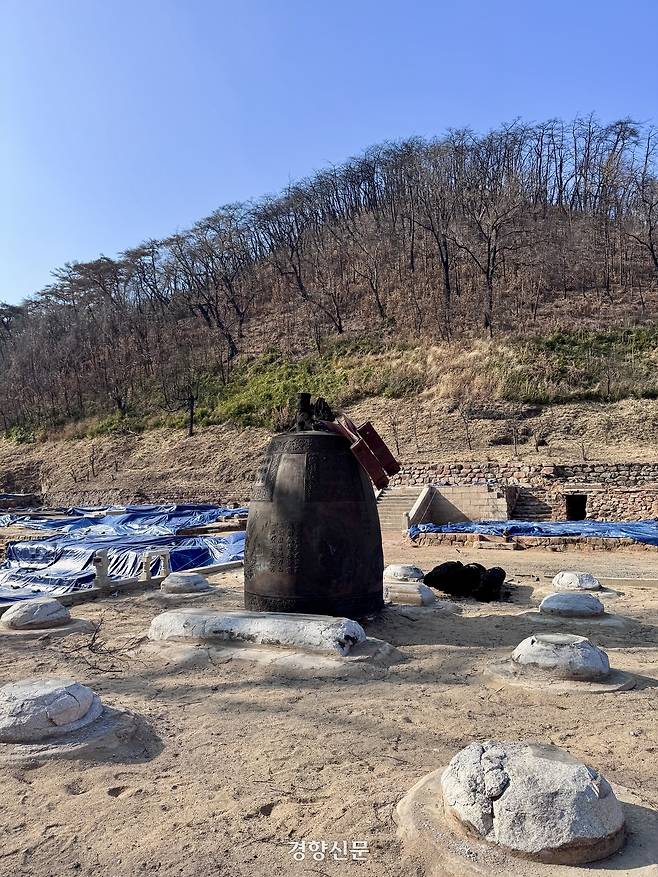지난 17일 경북 의성군 고운사 및 사찰림의 모습. 지난해 영남 산불로 불에 타 없어진 건물터 뒤쪽 언덕으로 어린 나무 줄기들이 검게 그을린 나무 주변으로 솟아나 있다. 백경열 기자