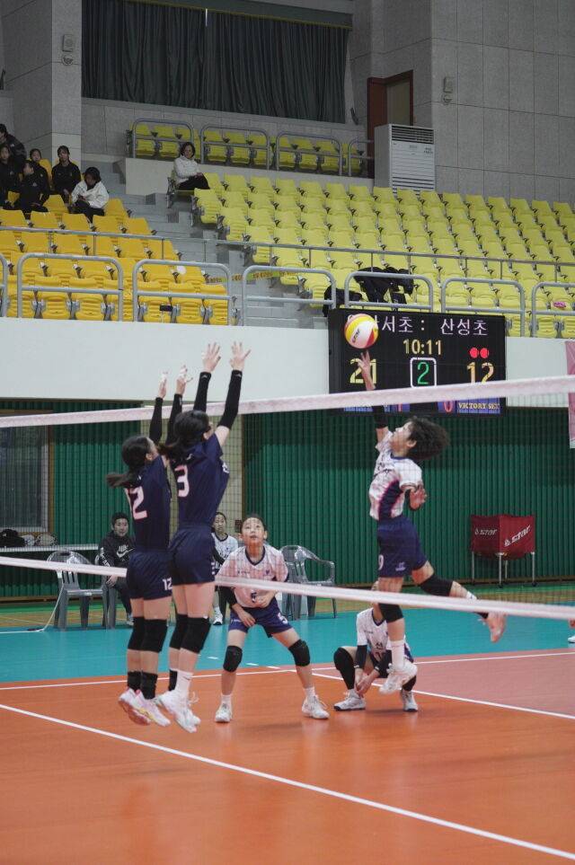 옥천 행복드림기./한국초등배구연맹