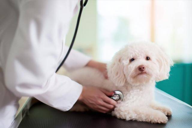 [사진=게티이미지뱅크]