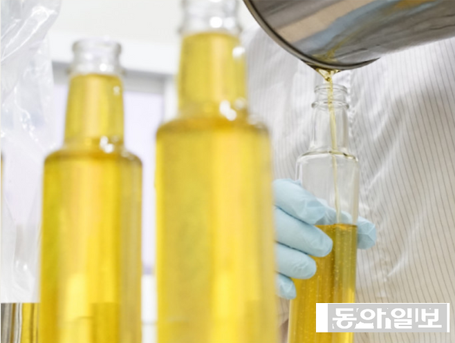 농업회사법인내포에서 생들기름을 추출하는 모습. 저온에서 압착한 생들기름은 혈류 개선과 치매 예방에 좋은 오메가3가 풍부한 것으로 알려졌다. 이설 기자 snow@donga.com