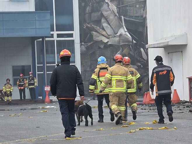 밤사이 1차 실종자 수색작업을 마친 소방구조대가 21일 오전 화재탐지견과 함께 화재로 붕괴한 공장 건물 쪽으로 들어가고 있다. 최예린 기자
