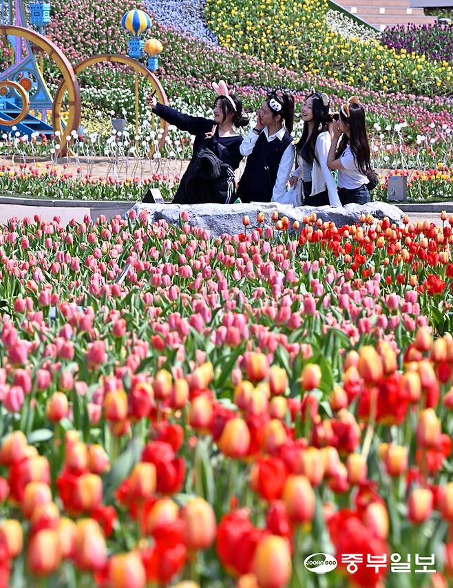 완연한 봄 날씨를 보인 22일 오전 용인시 에버랜드에서 시민들이 알록달록한 튤립을 구경하며 즐거운 시간을 보내고 있다. 에버랜드 튤립축제는 100여 종, 약 120만 송이의 봄꽃들이 상춘객을 반기며 내달 30일까지 이어진다. 김경민기자