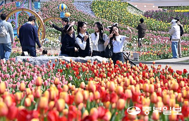 완연한 봄 날씨를 보인 22일 오전 용인시 에버랜드에서 시민들이 알록달록한 튤립을 구경하며 즐거운 시간을 보내고 있다. 에버랜드 튤립축제는 100여 종, 약 120만 송이의 봄꽃들이 상춘객을 반기며 내달 30일까지 이어진다. 김경민기자