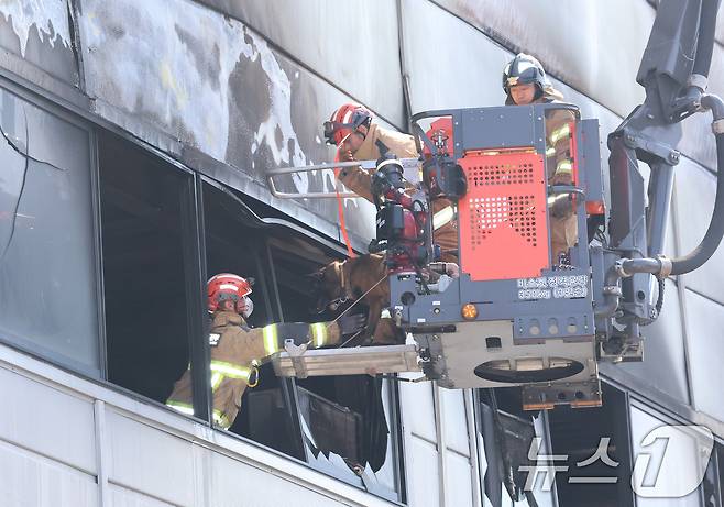 21일 대형 화재로 인명피해가 발생한 대전 대덕구 자동차 부품 제조 공장에서 실종자를 수색하기 위해 구조견이 투입되고 있다. 2026.3.21 ⓒ 뉴스1 김기태 기자