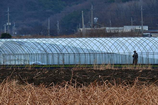 도심 인근의 비닐하우스. (사진은 기사 내용과 무관함)