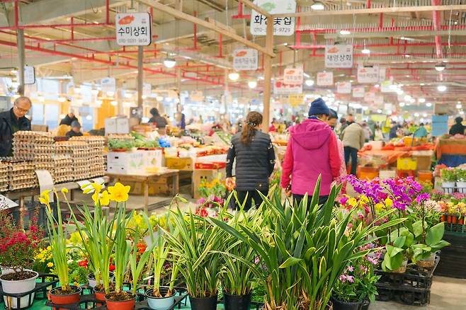 봄철 세화 오일장 전경. 사진 제주관광공사