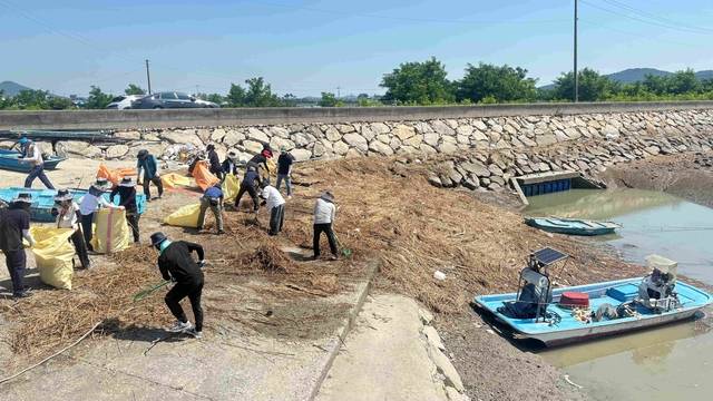 해양쓰레기 수거. 전남도청 제공