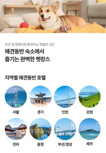 반려동물 동반 여행 상품 전용 페이지 [놀유니버스 제공]
