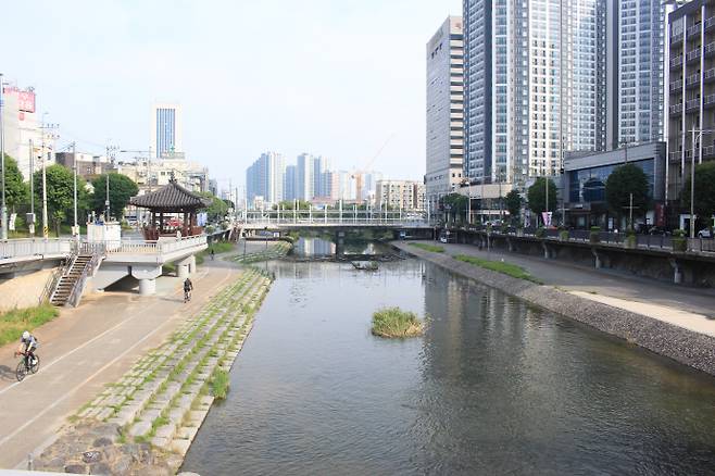옛 광주 큰장터였던 광주공원 거너편 광주천변.