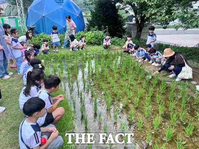 당진시 어린이 농부학교 교육 장면. /당진시