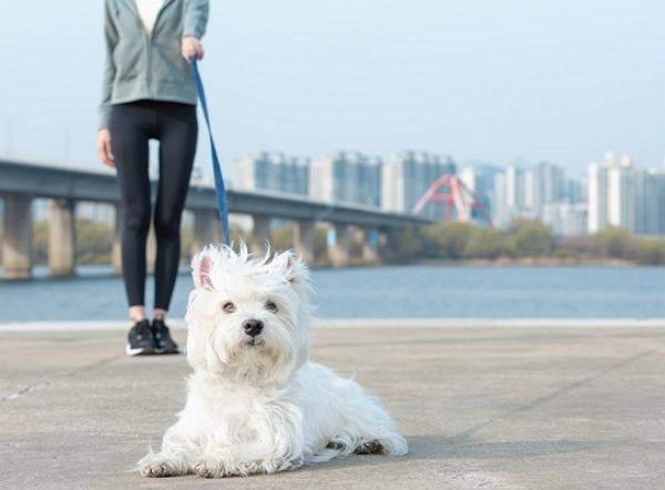 ⓒ게티이미지뱅크