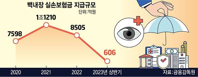 백내장 실손보험금 지급규모