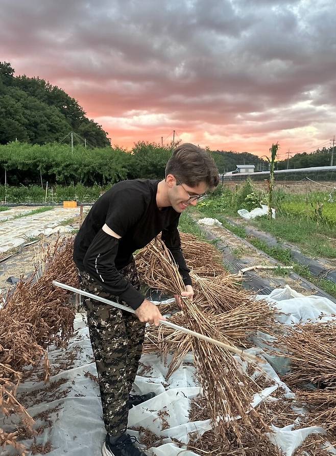 잭 그린버그씨가 결혼한 지 한 달 됐을 때인 2024년 8월 처갓집이 있는 영천시 청통면 텃밭에서 참깨를 수확하는 모습. 본인 제공