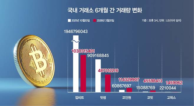 국내 거래소 6개월 간 거래량 변화. /사진=강지호 기자
