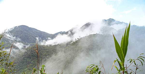 졸지에 몰려와 비를 뿌리고 가는 운무.