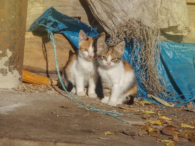 게티이미지뱅크