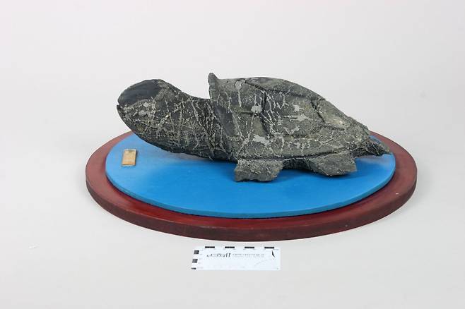 암석 활용 조형물 [태백시 제공.재판매 및 DB 금지]