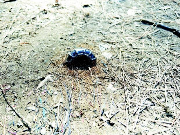 무등산 탐방로에 박혀있는 쇠말뚝.