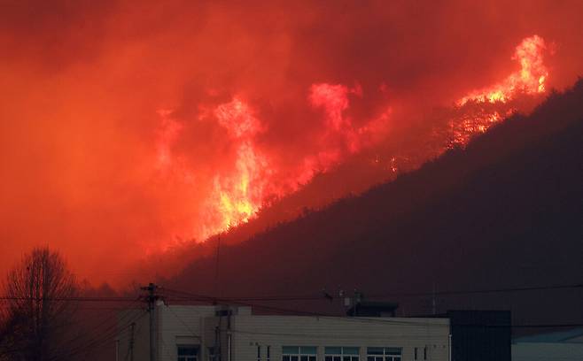 2025년 3월 의성군 점곡면 사촌리 야산에 산불이 도깨비불처럼 날아다니며 마을을 위협하고 있다. /경북매일 DB