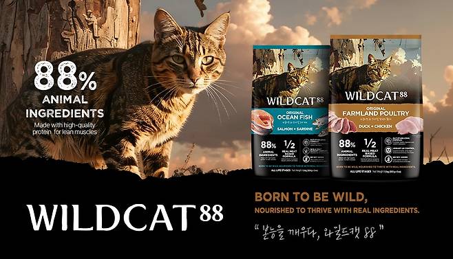 와일드캣88(우리와주식회사 제공) ⓒ 뉴스1