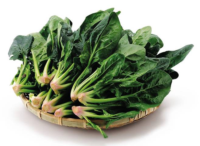 시금치 (동아일보DB)
