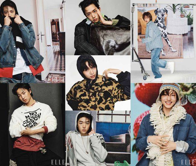 Processed with MOLDIV