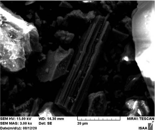 건설자재서 트레몰라이트 석면 함유를 확인한 전자현미경 사진 [광주환경운동연합 제공. 재판매 및 DB 금지]