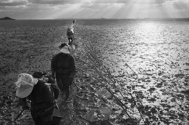 ▲ 고잔어촌계(1997년). /사진제공=김보섭 작가